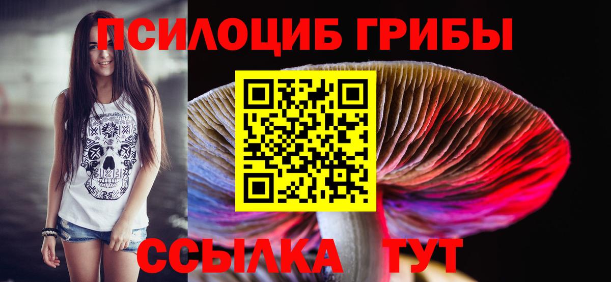 Псилоцибиновые грибы Magic Shrooms Кострома