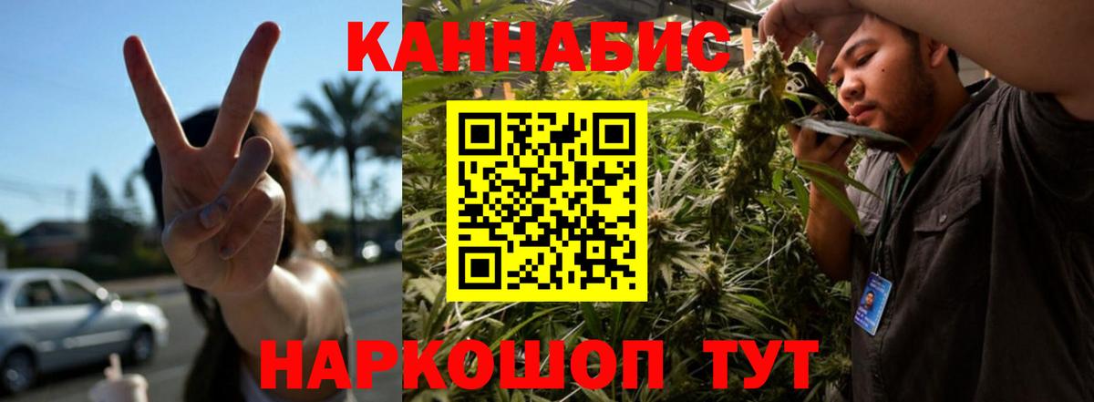 Бошки Шишки сатива Кострома